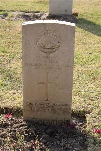 Ismailia War Memorial Cemetery - Bell, William John